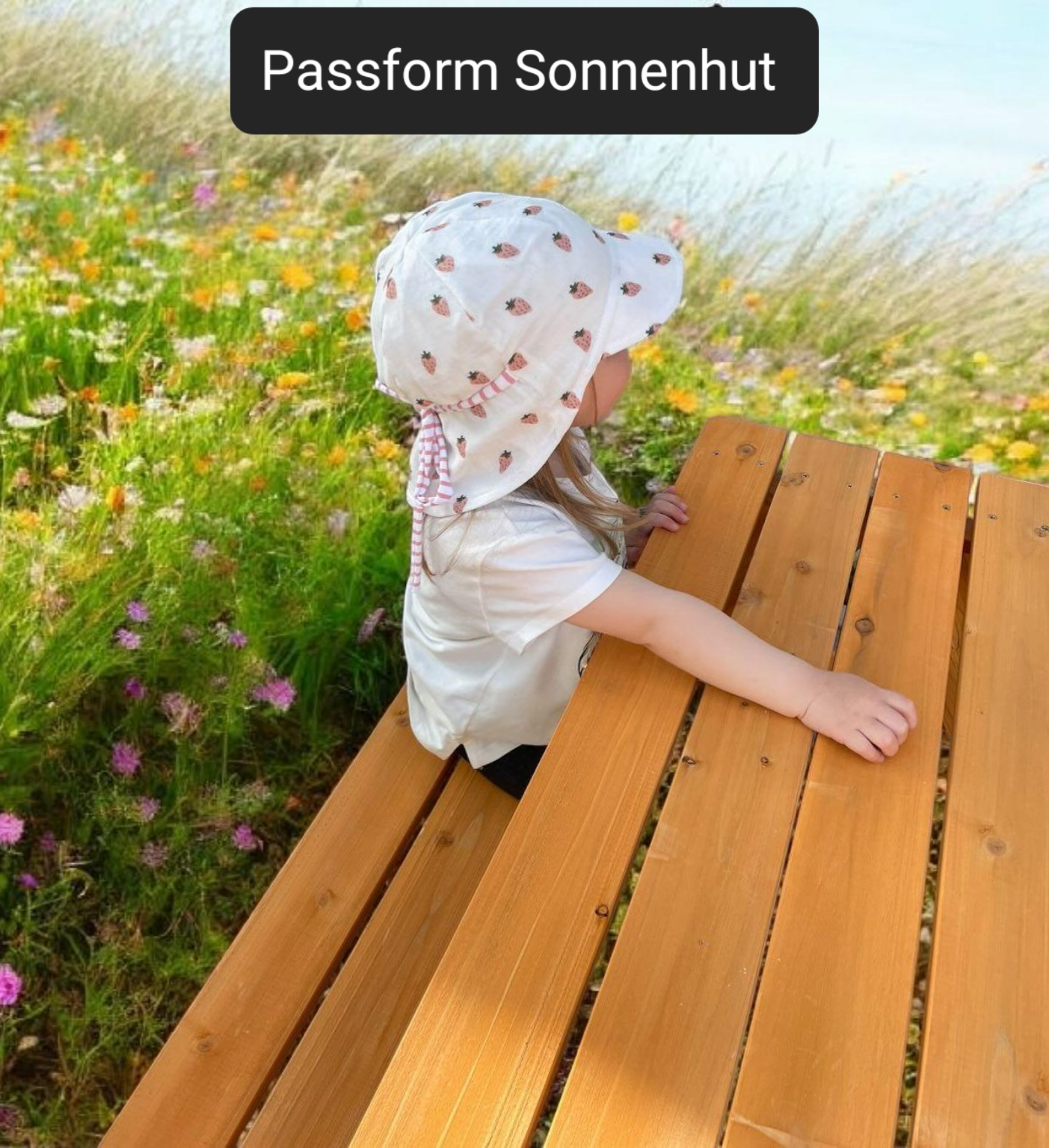 Sonnenhut / Zitrone
